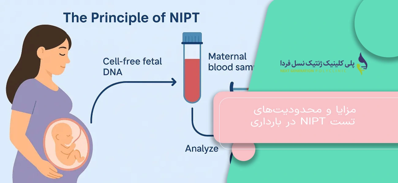 مزایا و محدودیتهای تست NIPT در بارداری