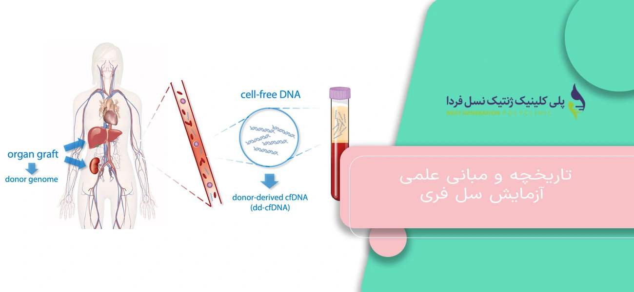 تاریخچه و مبانی علمی آزمایش سل فری