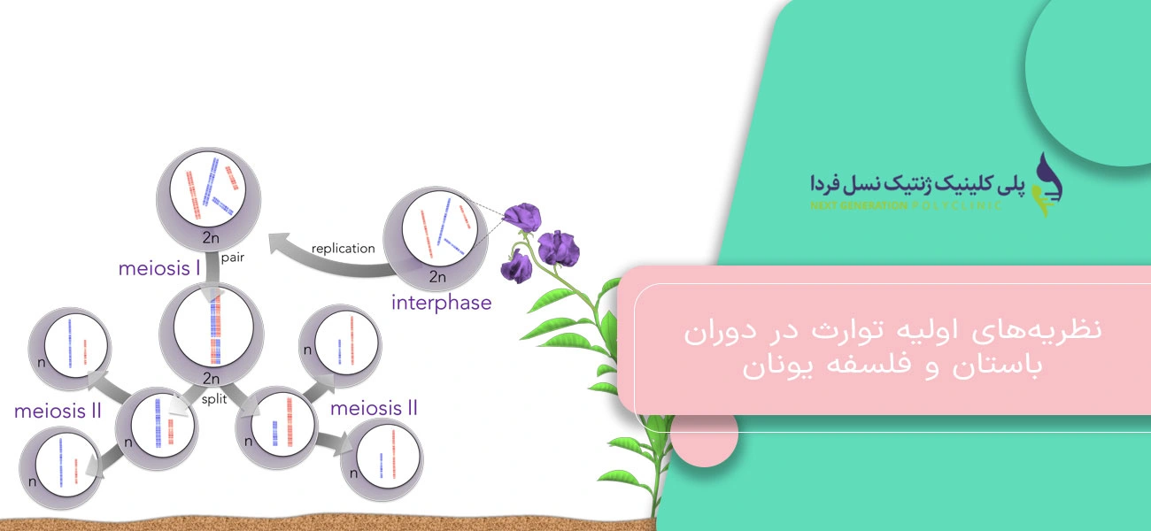 نظریههای اولیه توارث در دوران باستان و فلسفه یونان