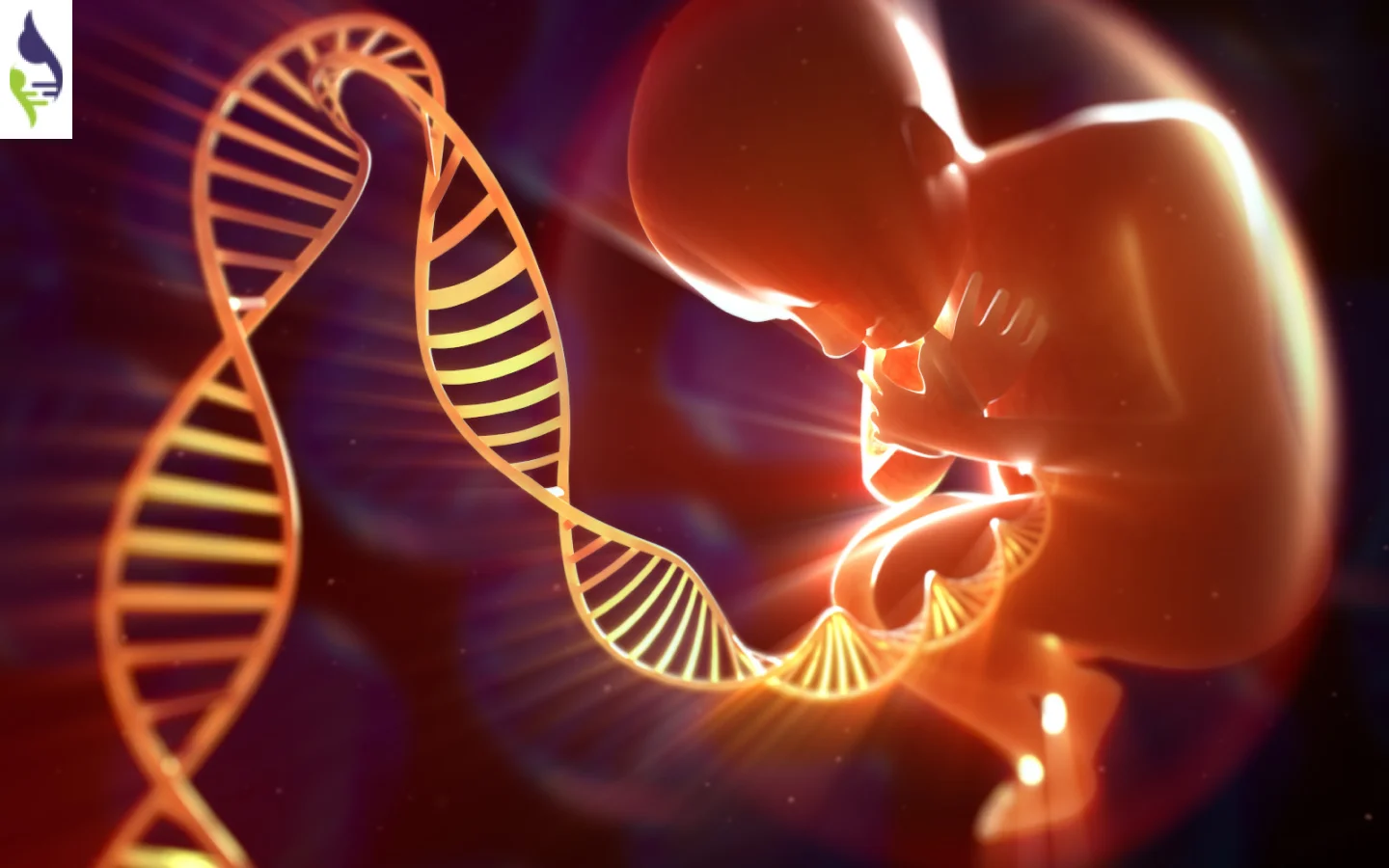 آزمایشات ژنتیک قبل بارداری