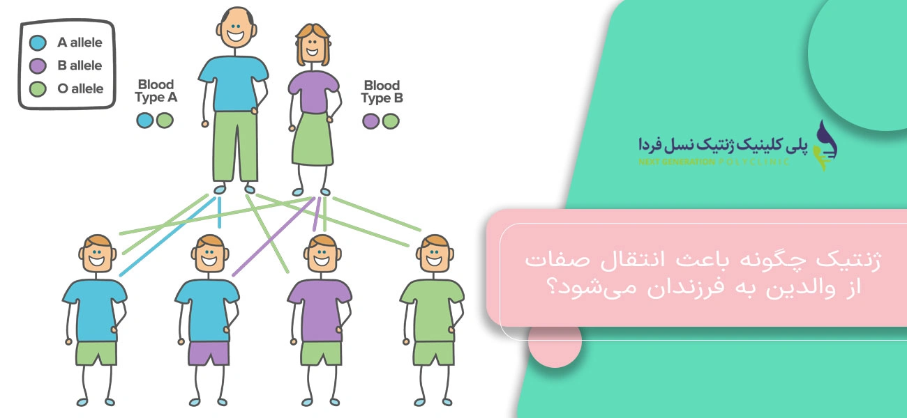 ژنتیک چگونه باعث انتقال صفات از والدین به فرزندان میشود؟