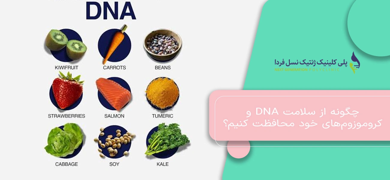 چگونه از سلامت dna و کروموزومهای خود محافظت کنیم؟