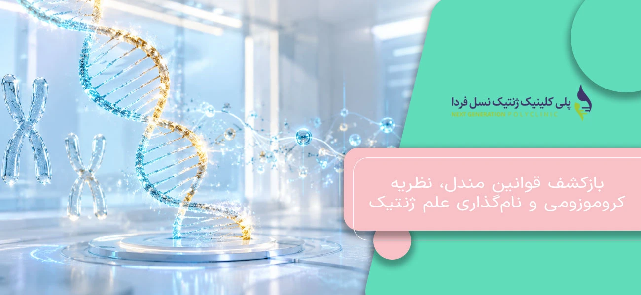 بازکشف قوانین مندل، نظریه کروموزومی و نامگذاری علم ژنتیک