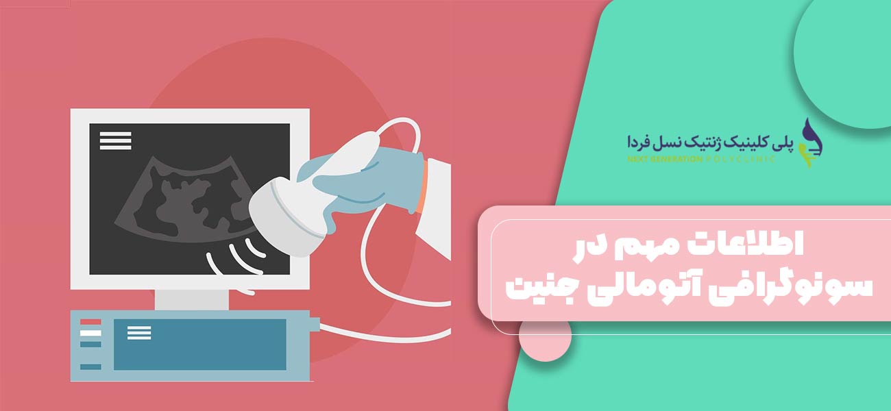 اطلاعات مهم در سونوگرافی آنومالی جنین