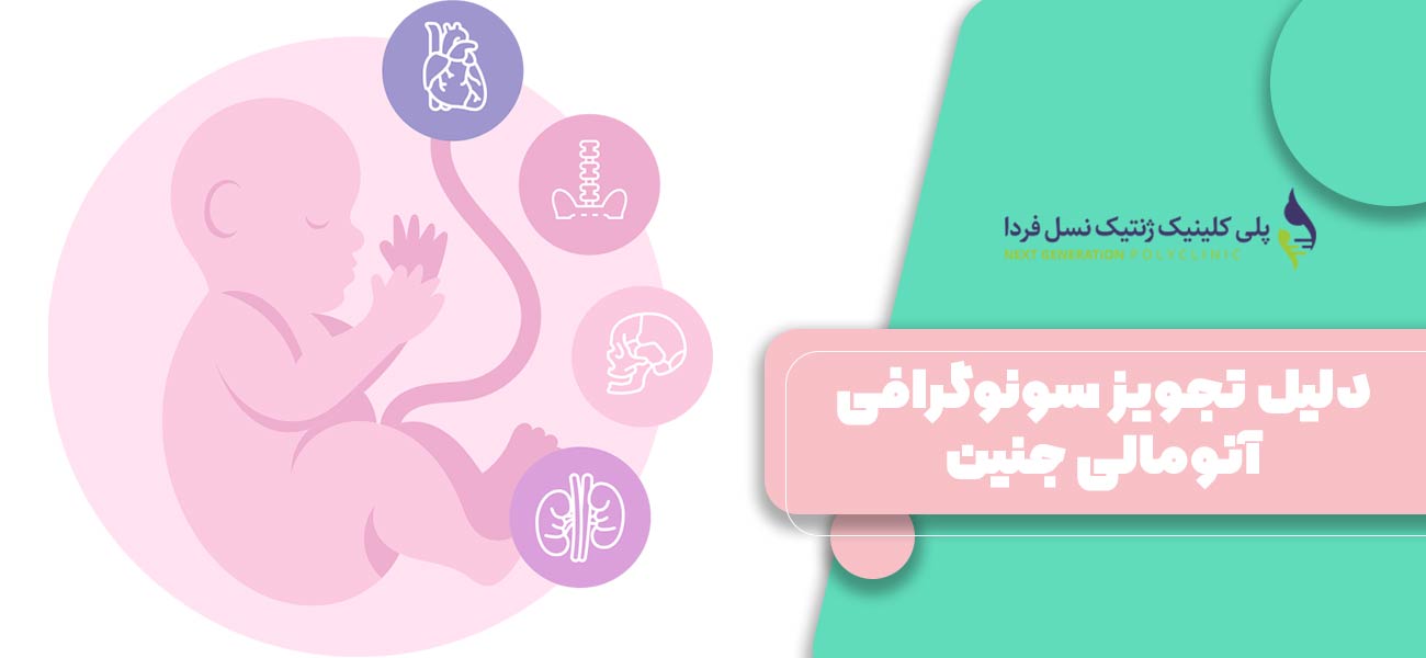 دلیل تجویز سونوگرافی آنومالی جنین