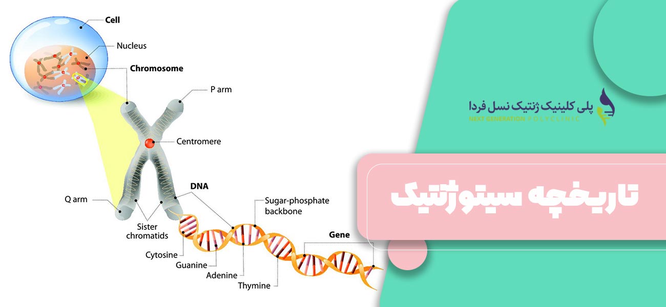تاریخچه سیتوژنتیک