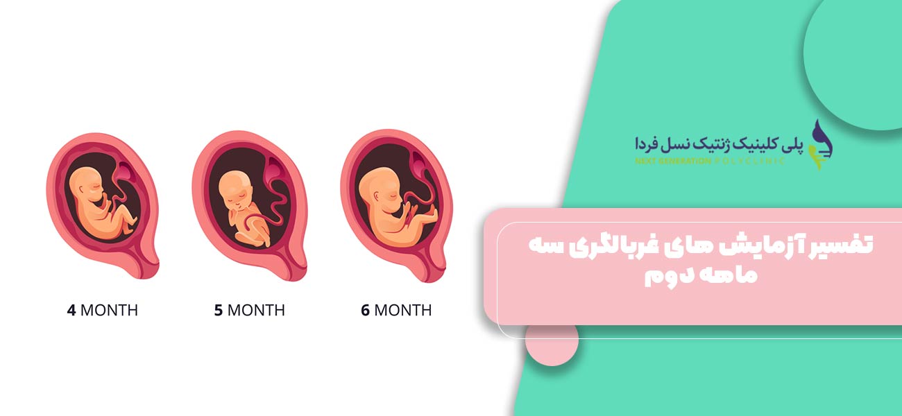 تفسیر آزمایش های غربالگری سه ماهه دوم