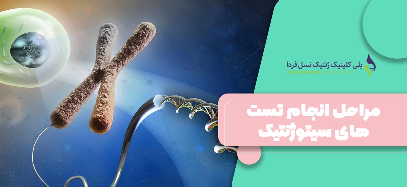 مراحل انجام تست های سیتوژنتیک