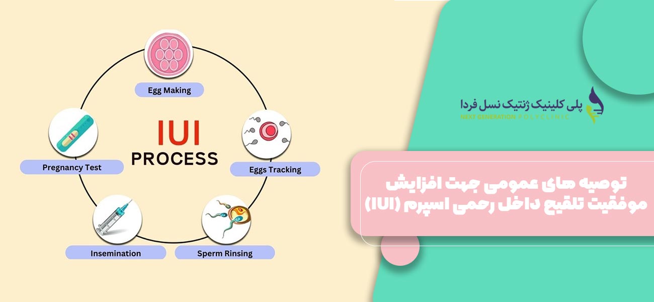 توصیه های عمومی جهت افزایش موفقیت تلقیح داخل رحمی اسپرم (IUI)