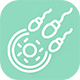 لقاح خارج از رحم (IVF)