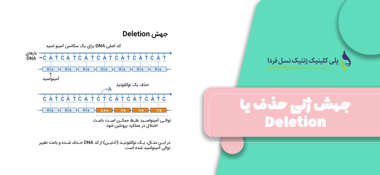 جهش ژنی حذف یا Deletion