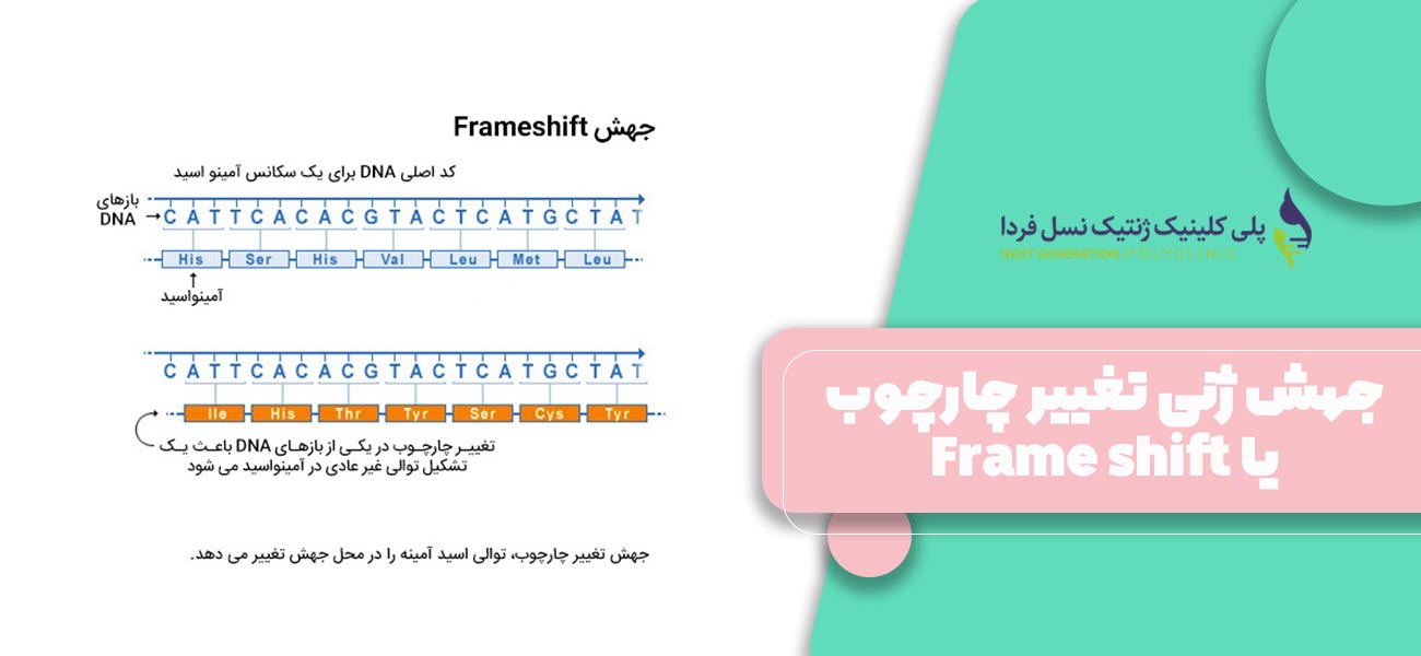 جهش ژنی تغییر چارچوب یا Frame shift