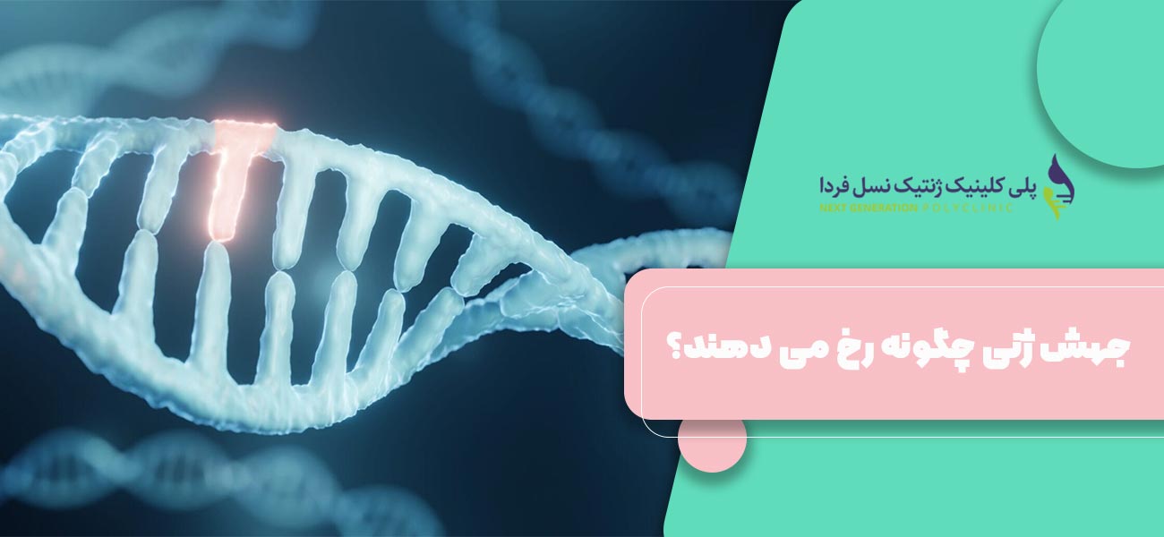 جهش ژنی چگونه رخ می دهند؟