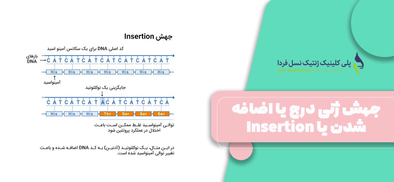 جهش ژنی درج یا اضافه شدن یا Insertion