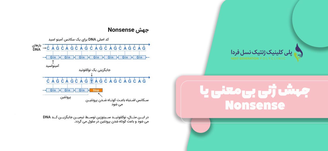 جهش ژنی بیمعنی یا Nonsense