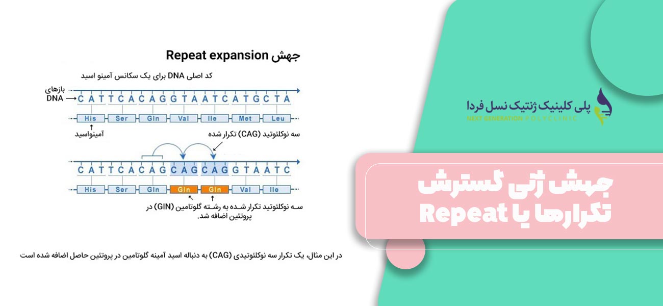 جهش ژنی گسترش تکرارها یا Repeat expansion