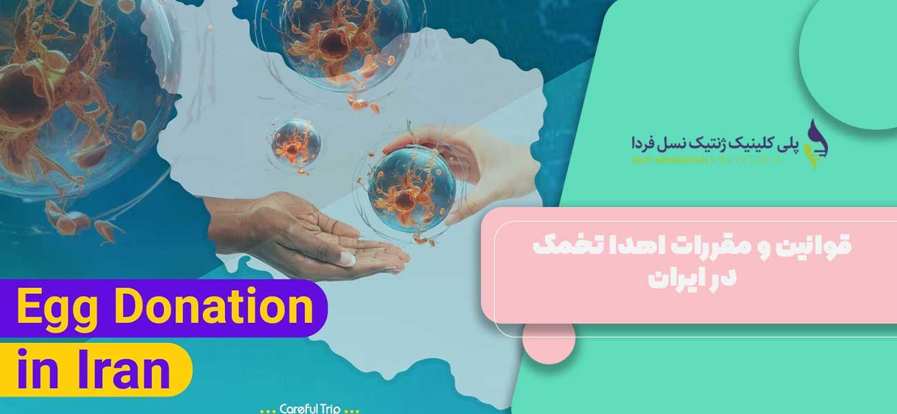 قوانین و مقررات اهدا تخمک در ایران