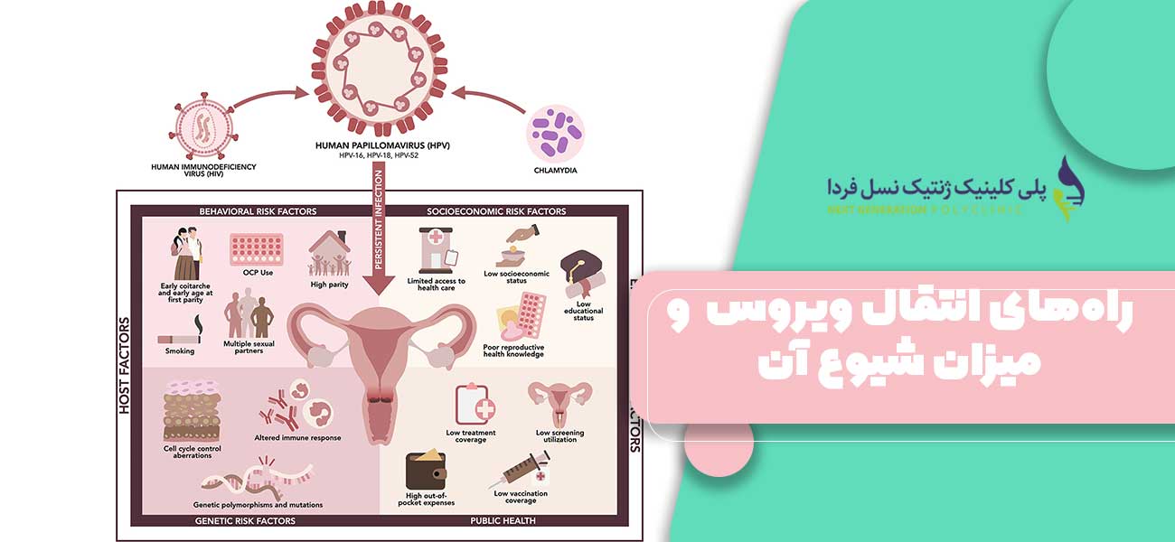 راههای انتقال ویروس HPV و میزان شیوع آن