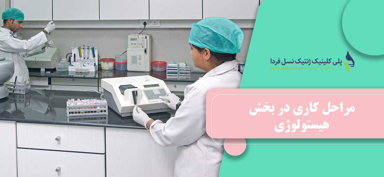 مراحل کاری در بخش هیستولوژی