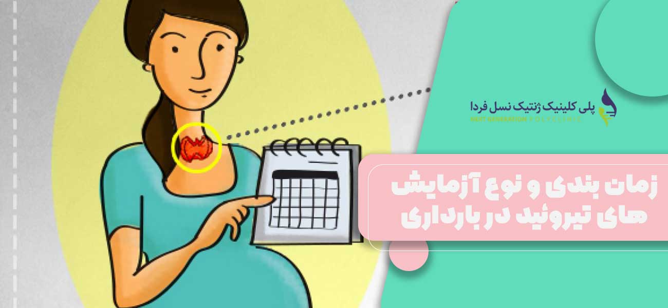 زمان بندی و نوع آزمایشهای تیروئید در بارداری