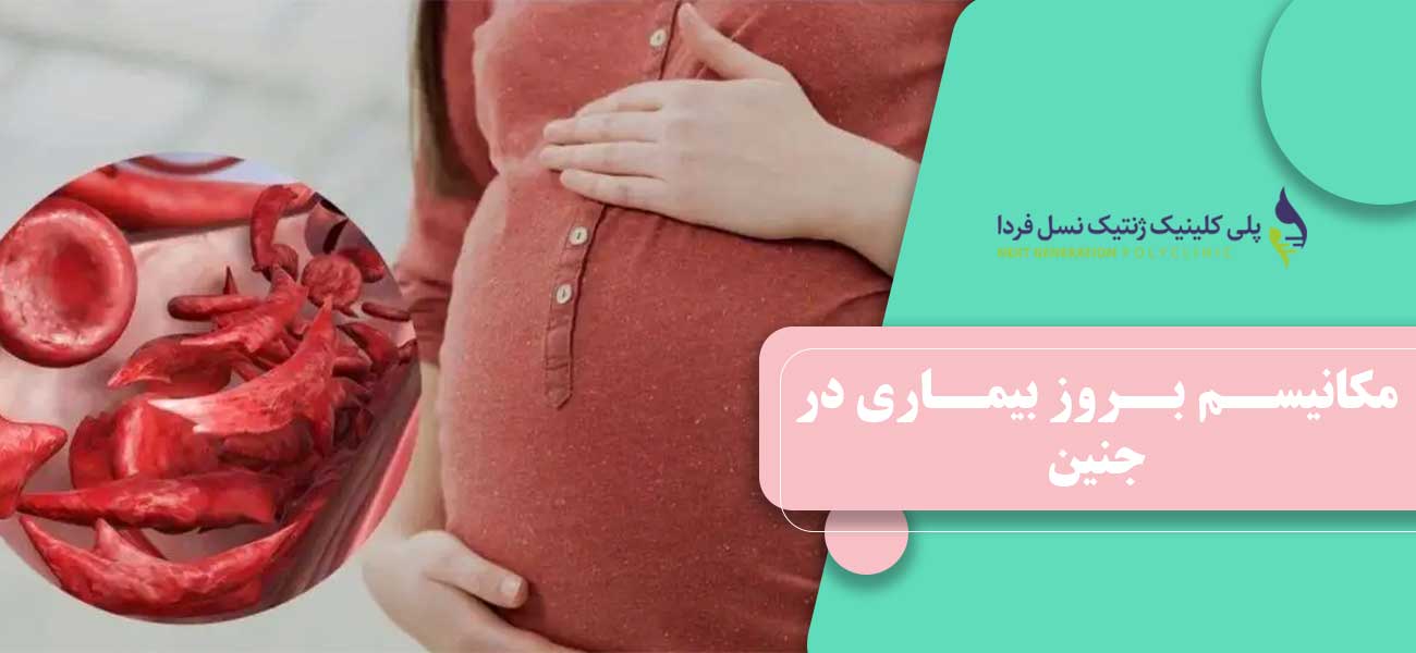 مکانیسم بروز بیماری در جنین