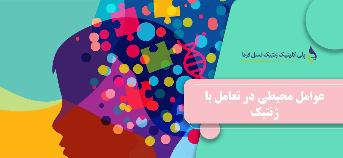 عوامل محیطی در تعامل با ژنتیک