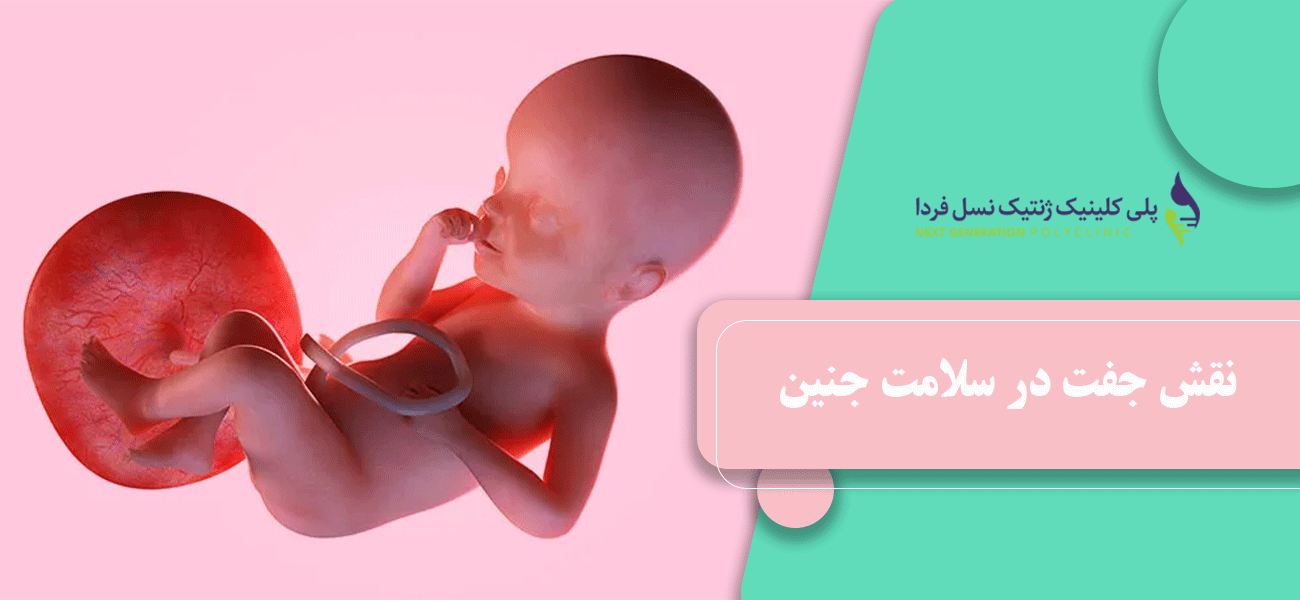 نقش جفت در سلامت جنین