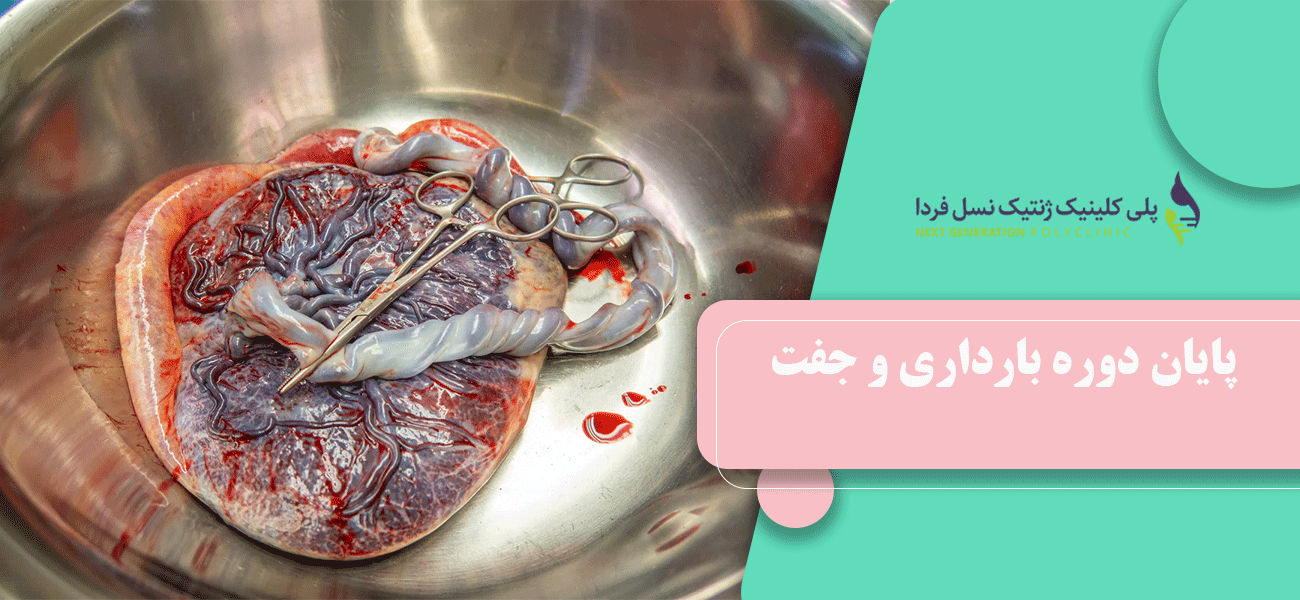 پایان دوره بارداری و جفت