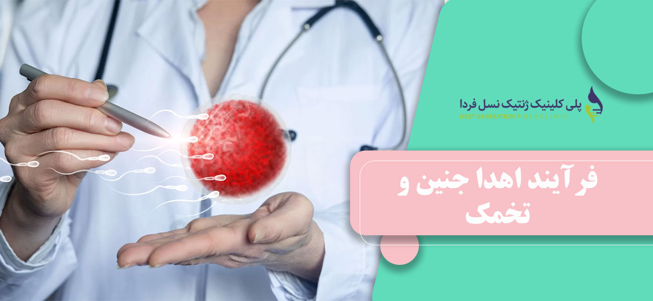 فرآیند اهدا جنین و تخمک
