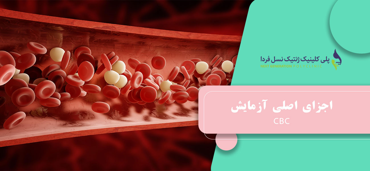 اجزای اصلی آزمایش CBC