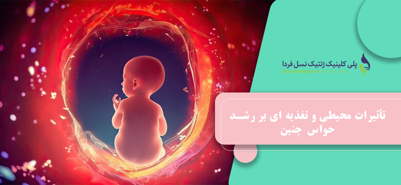 تأثیرات محیطی و تغذیه ای بر رشد حواس جنین