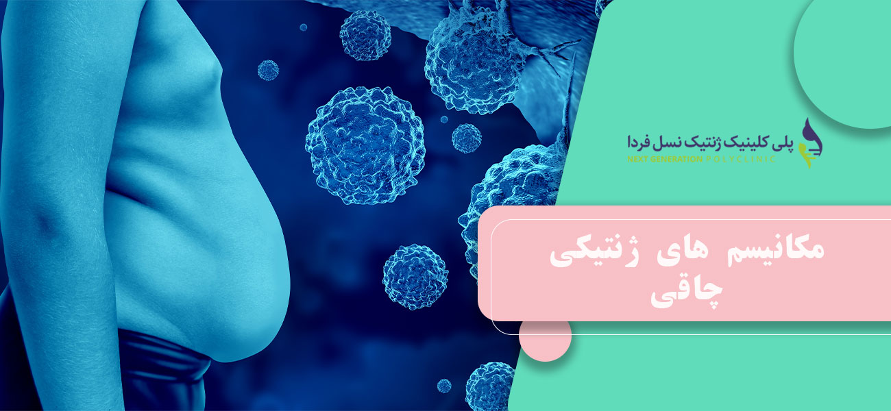 مکانیسم های ژنتیکی چاقی