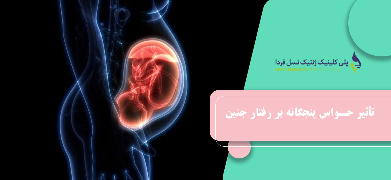 تأثیر حواس پنجگانه بر رفتار جنین