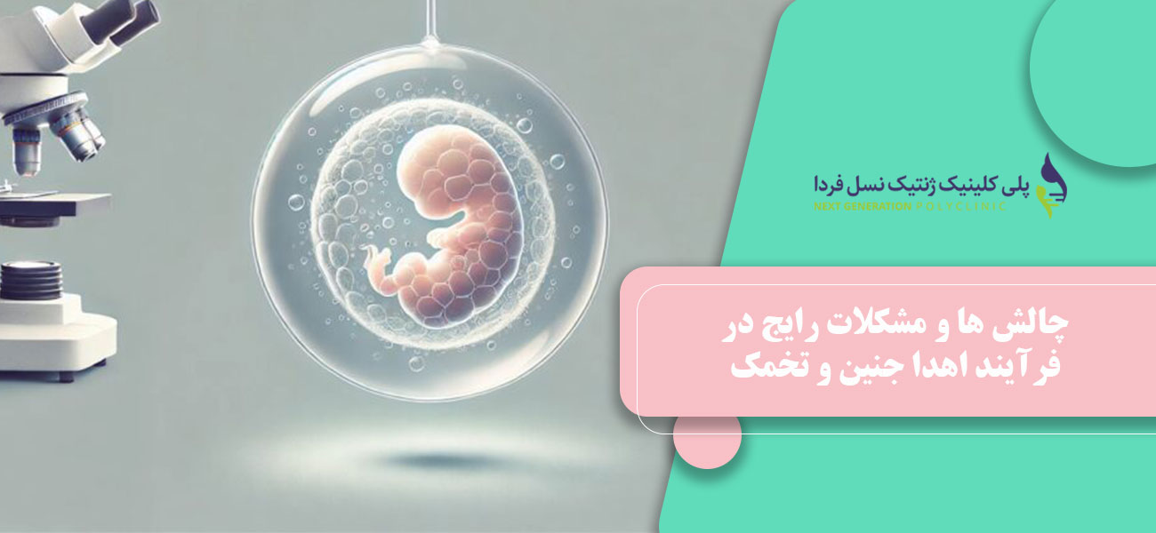 چالش ها و مشکلات رایج در فرآیند اهدا جنین و تخمک