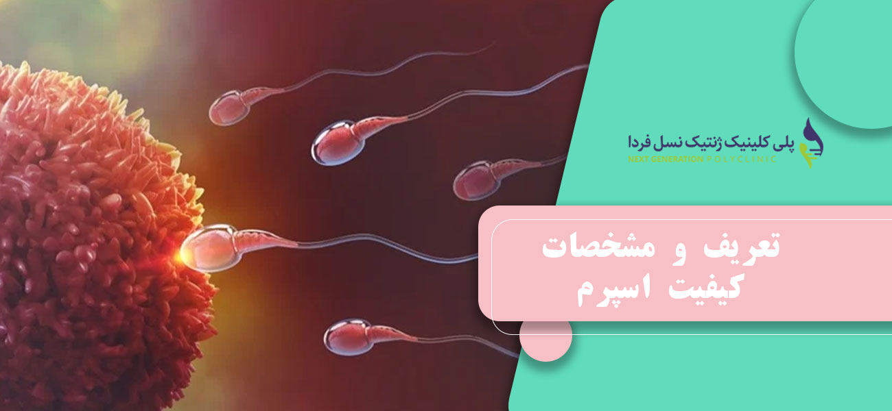 تعریف و مشخصات کیفیت اسپرم