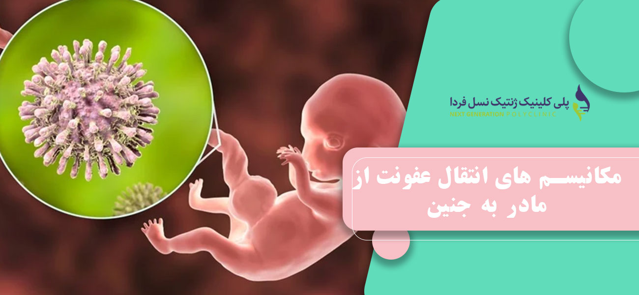 مکانیسم های انتقال عفونت از مادر به جنین