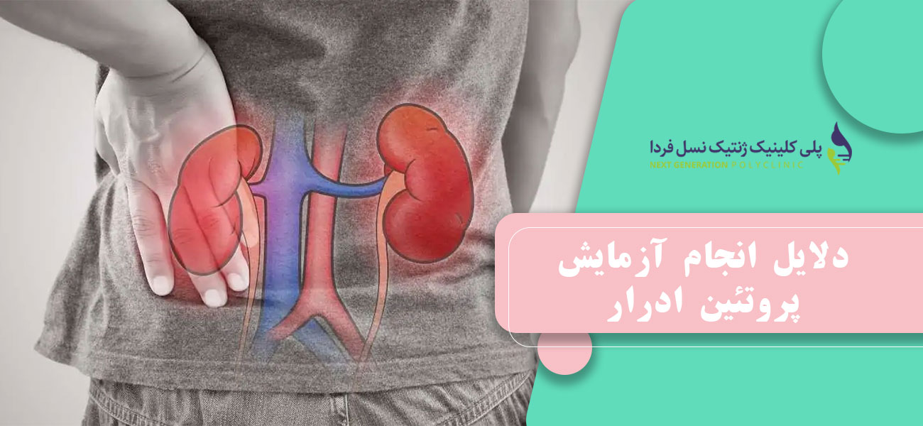 دلایل انجام آزمایش پروتئین ادرار
