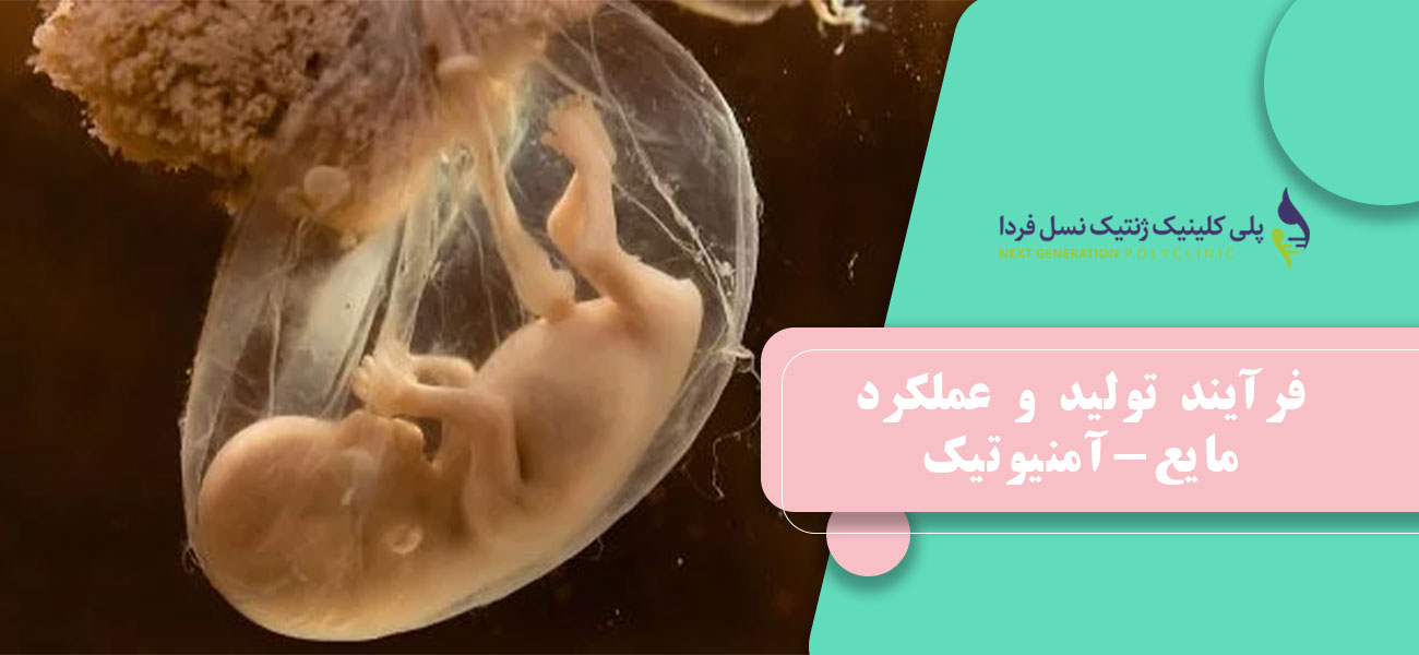 فرآیند تولید و عملکرد مایع-آمنیوتیک