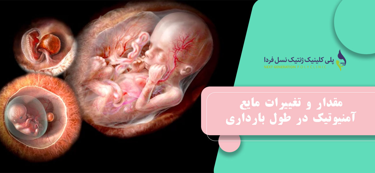 مقدار و تغییرات Amniotic Fluid در طول بارداری