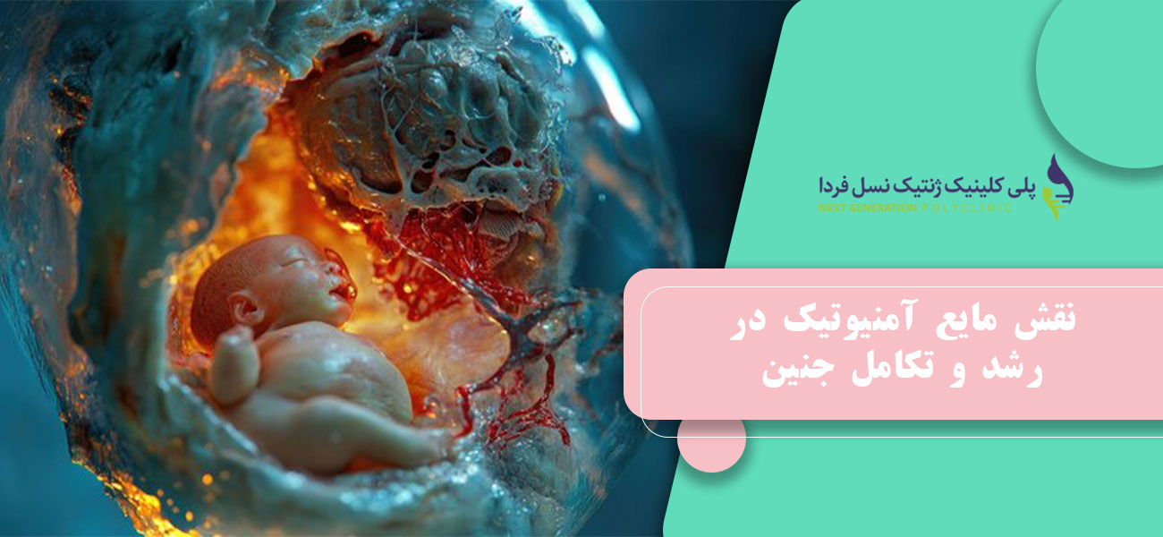 نقش Amniotic Fluid در رشد و تکامل جنین