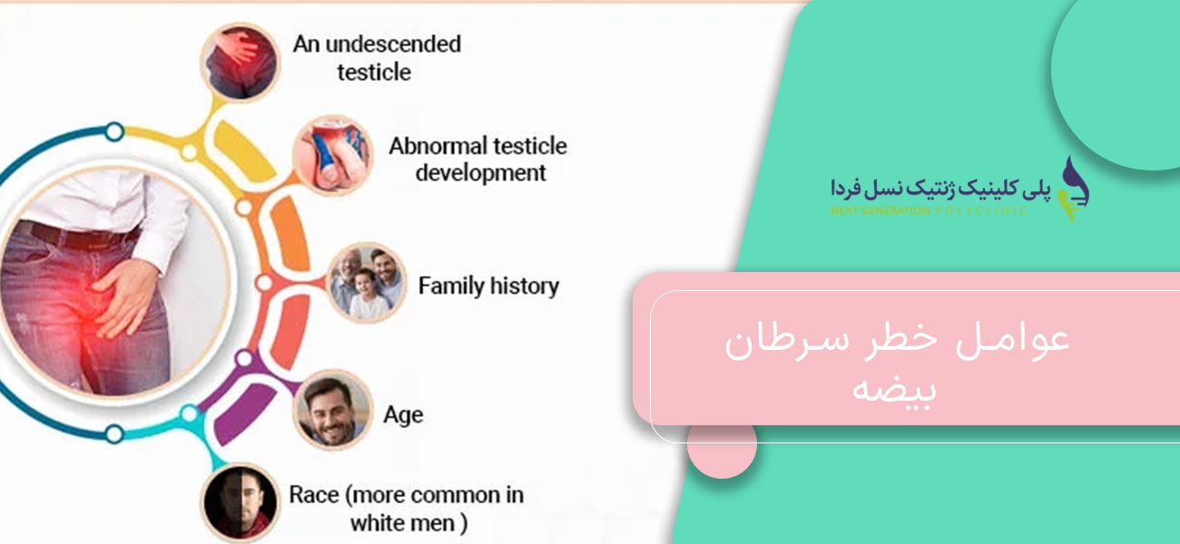 عوامل خطر سرطان بیضه