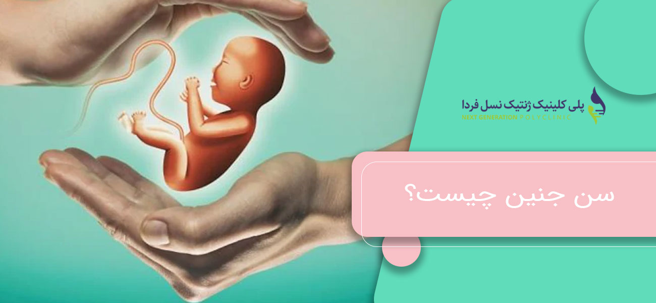 سن جنین چیست؟