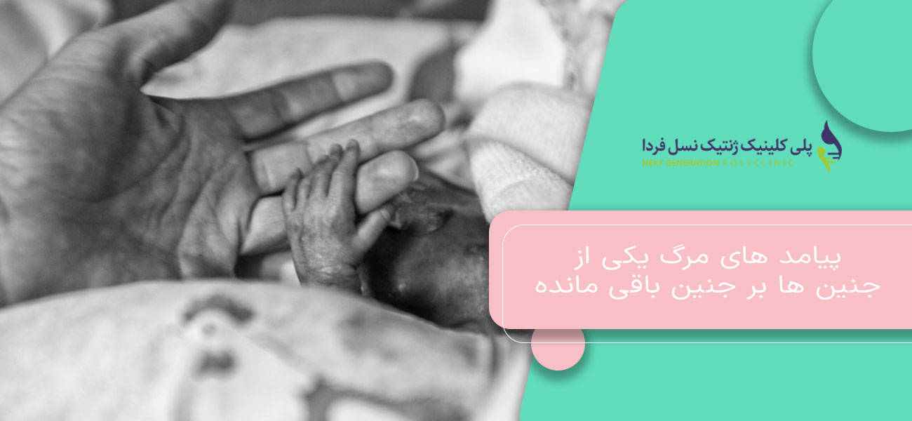 پیامد های مرگ یکی از جنین ها بر جنین باقی مانده