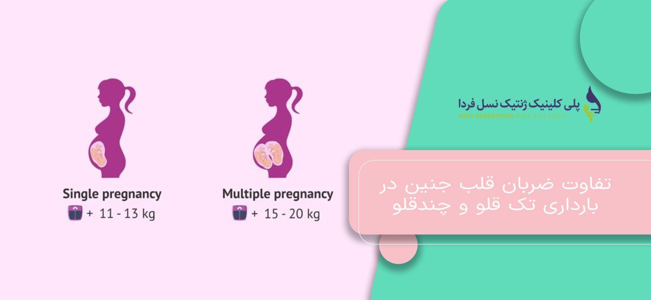 تفاوت ضربان قلب جنین در بارداری تک قلو و چندقلو
