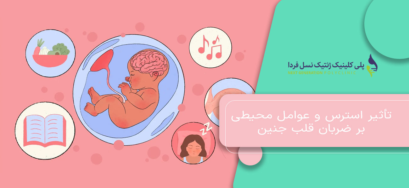 تأثیر استرس و عوامل محیطی بر ضربان قلب جنین
