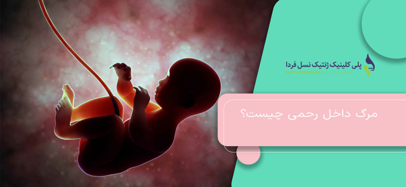 مرگ داخل رحمی چیست؟