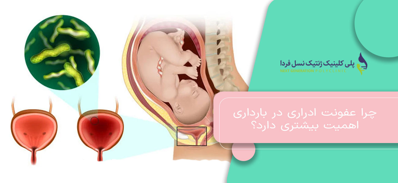چرا عفونت ادراری در بارداری اهمیت بیشتری دارد؟
