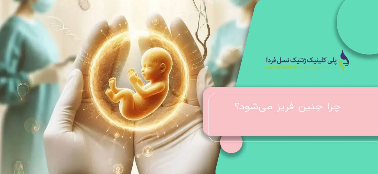 چرا جنین فریز میشود؟