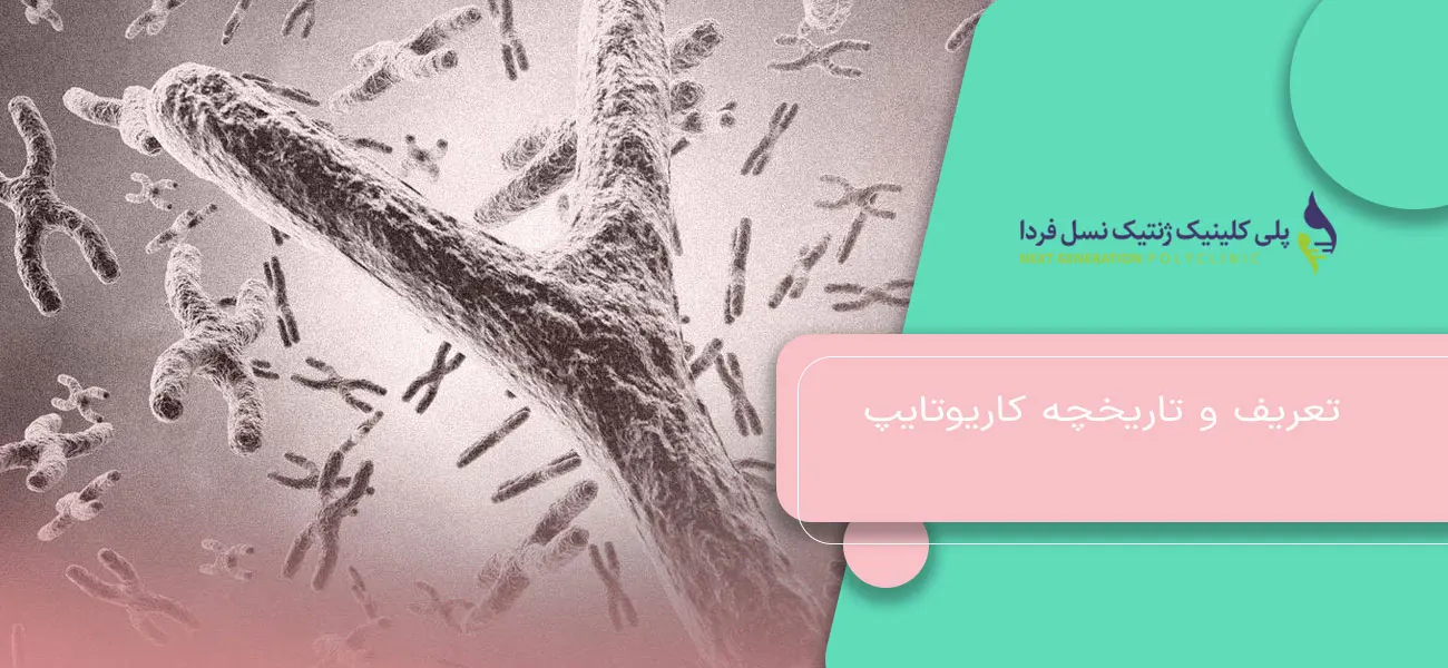 تعریف و تاریخچه کاریوتایپ