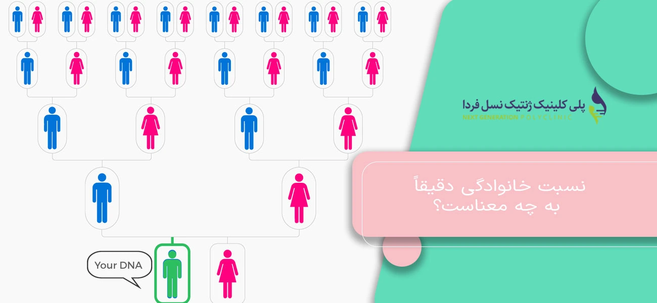 نسبت خانوادگی دقیقاً به چه معناست؟